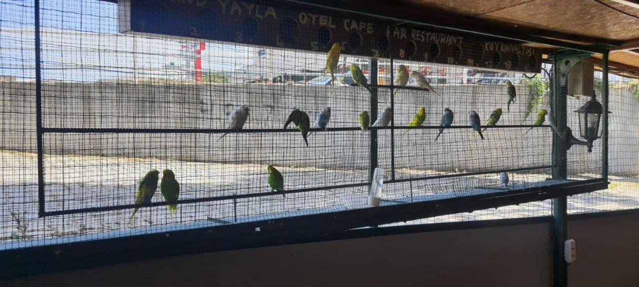 Grand Yayla Hotel Çeşme Exteriör bild