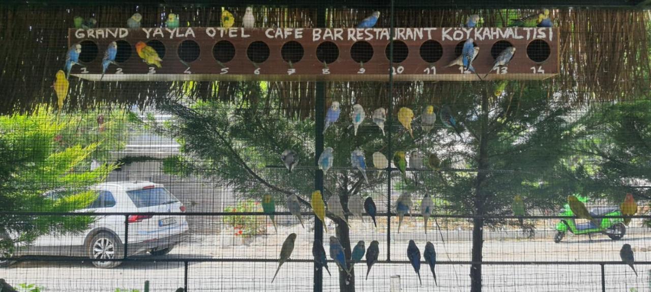 Grand Yayla Hotel Çeşme Exteriör bild